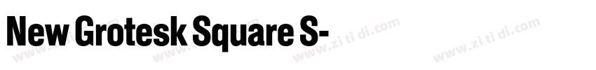 New Grotesk Square S字体转换 New Grotesk Square S字体转换